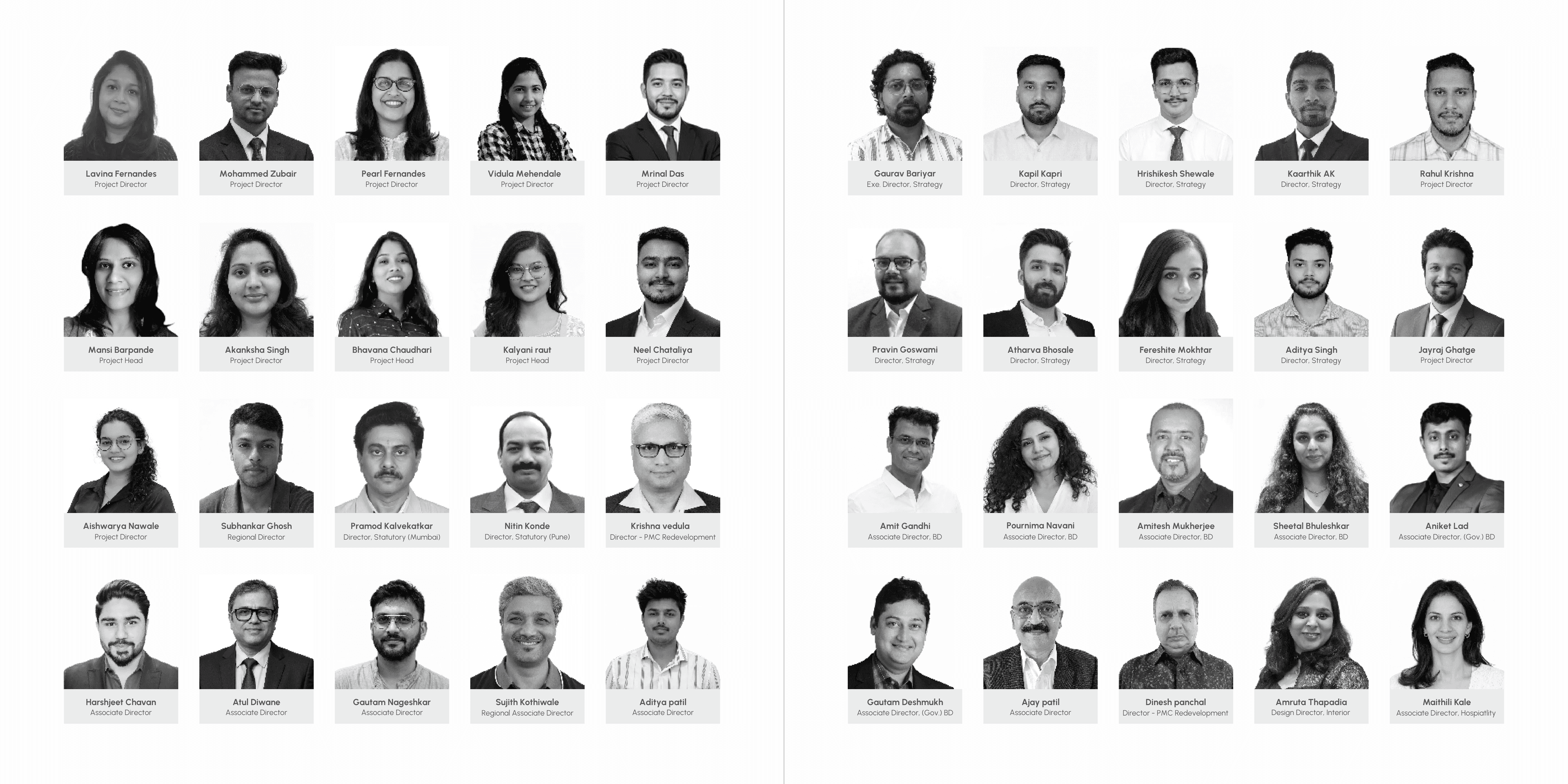 Extended team
