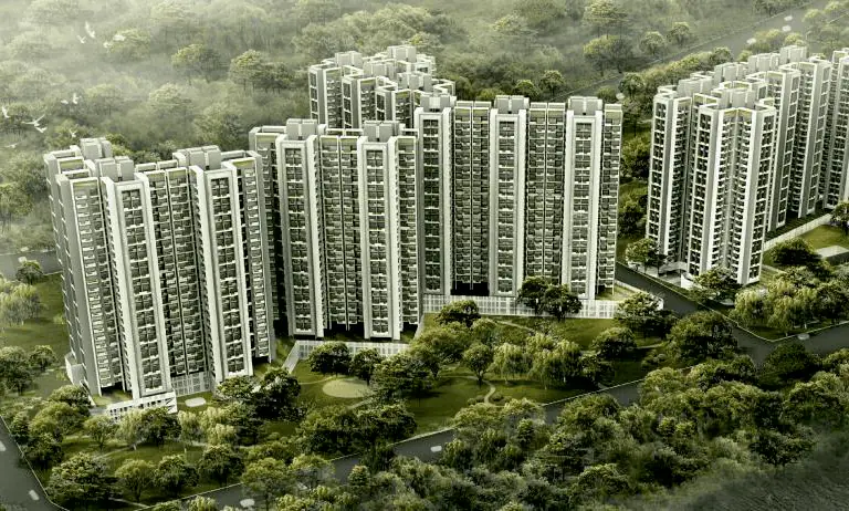 The Urban Forest - 1