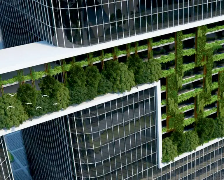 The Corporate Forest - 1