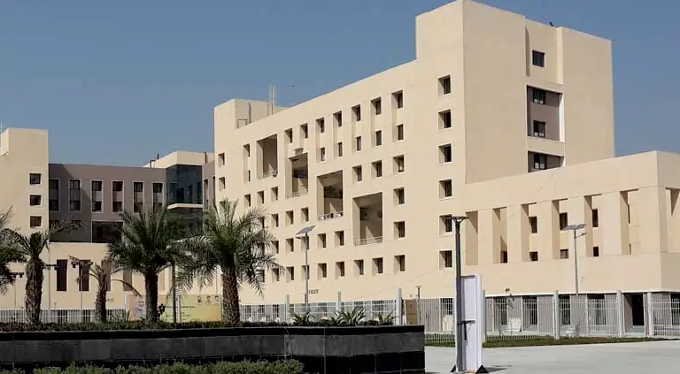 The Oasis of Knowledge - 1