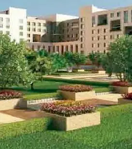 The Oasis of Knowledge - 4
