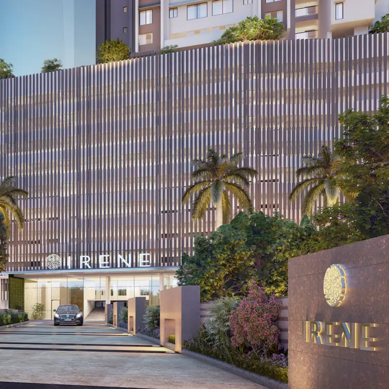 Rene - 3