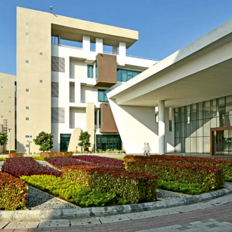 Sunand Shade - 1