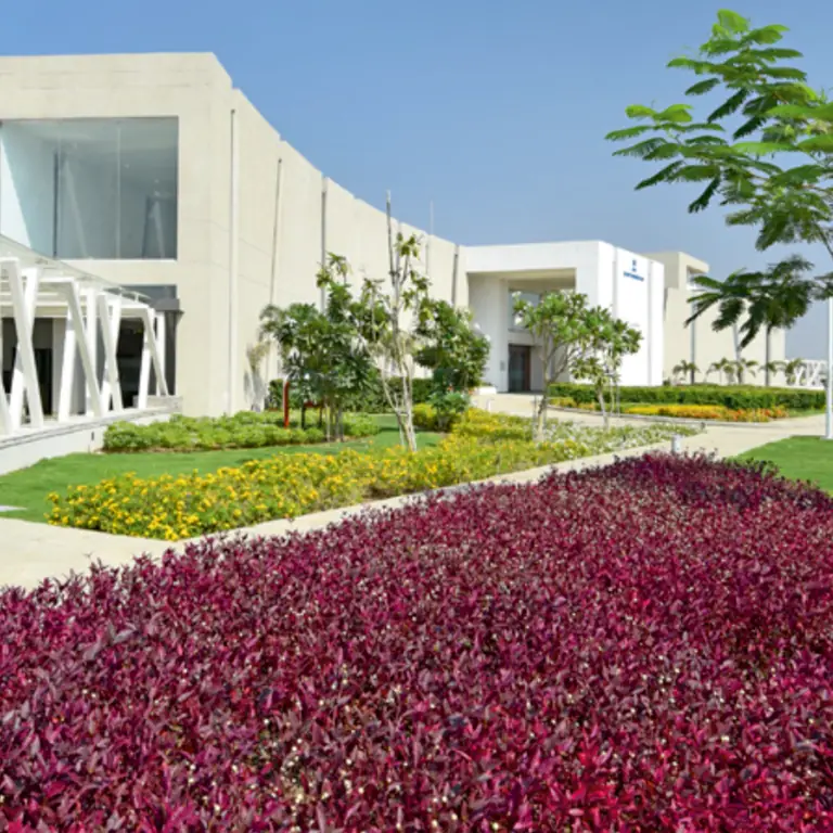 Sunand Shade - 4